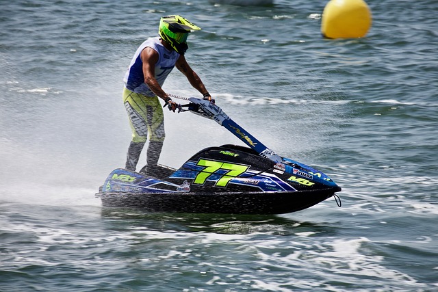 雄鹿的集体 雄鹿的集体