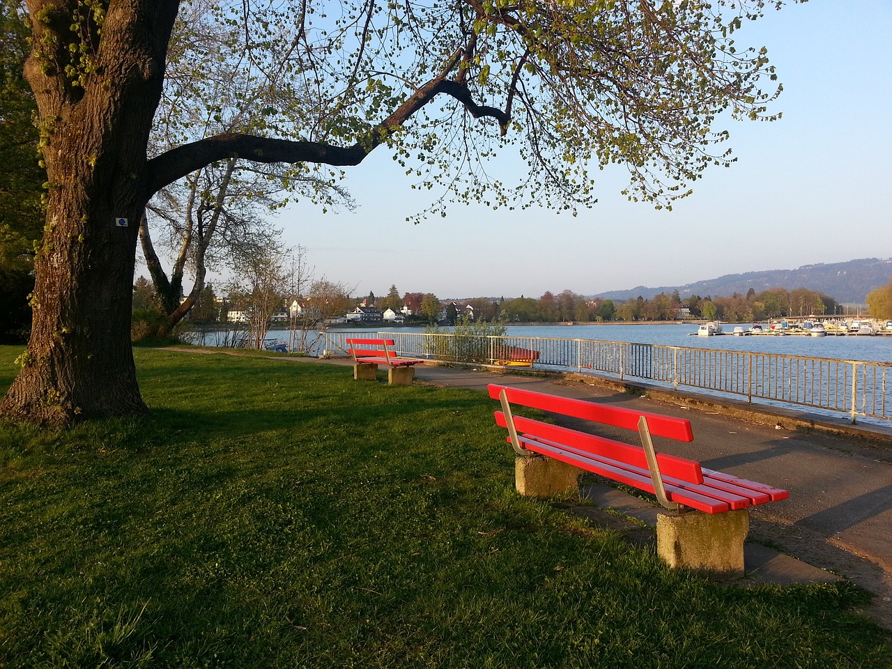 泰山隊的防 泰山隊的防