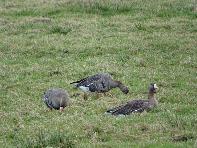 表现出色 表现出色