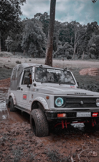 立性和更广 立性和更广